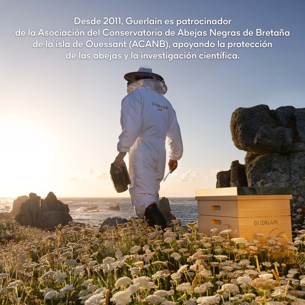 ABEILLE ROYALE KIT S&Eacute;RUM REJUVENESCEDOR (SET PARA CUIDADO DE LA PIEL)